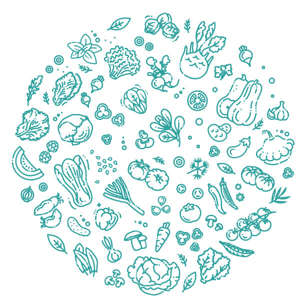 蔬菜涂鸦绘画收藏。矢量图图片下载