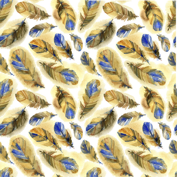 水彩羽毛无缝图案。图片下载