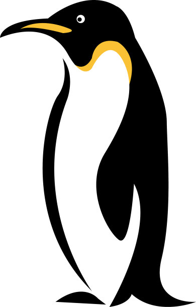 企鹅图片下载