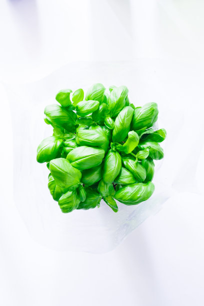 俯视图新鲜的罗勒在塑料模组上方的蓝色背景。健康食品的概念图片下载