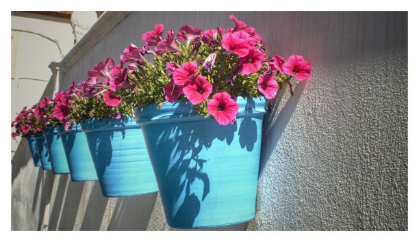 花在科尔多瓦图片下载