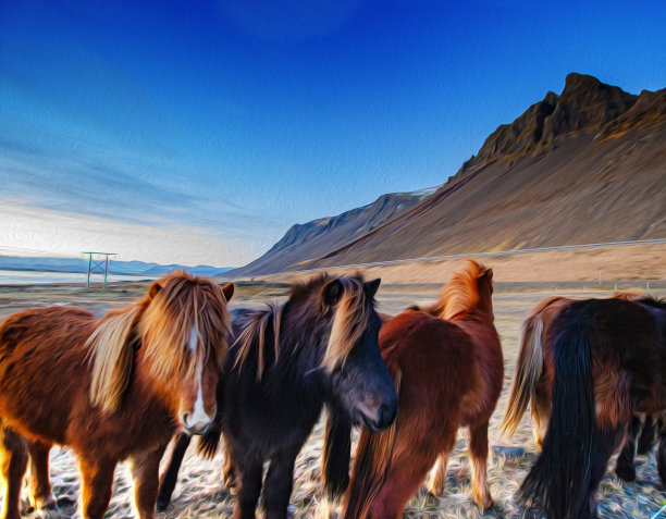 马的照片编辑为油画图片下载