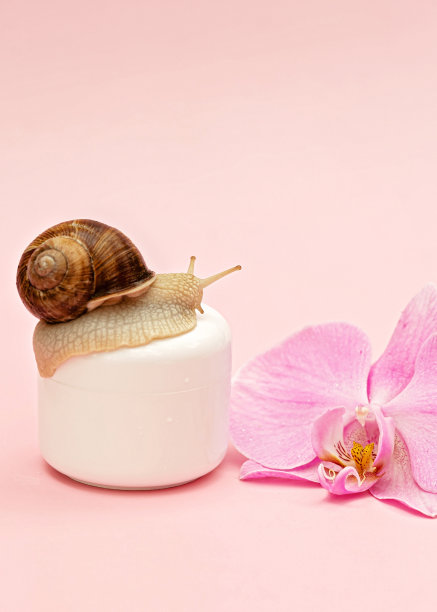 粉红底色肌肤嫩肤化妆品，蜗牛兰花花，蜗牛黏液霜，补水，美容，健康，spa理念。软选择焦点，复制空间。图片下载