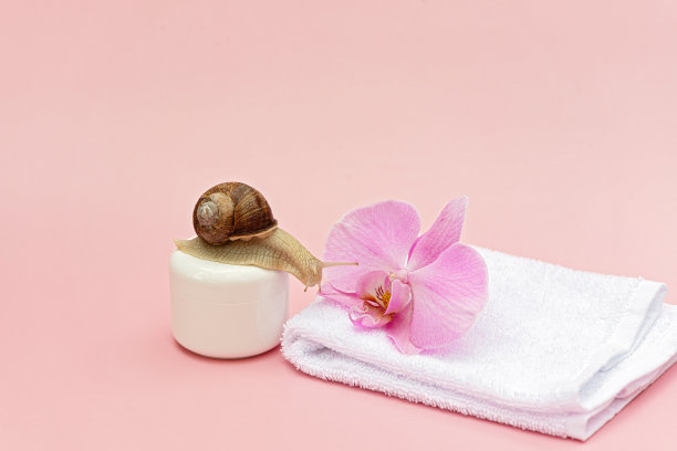 粉红底色肌肤嫩肤化妆品蜗牛，花白毛巾，蜗牛黏液霜，肌肤补水，美容，spa概念。软选择焦点，复制空间。图片下载