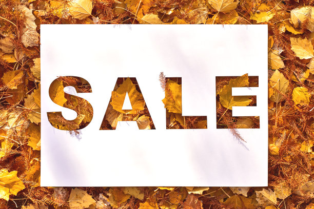 销售文字裁剪在白色的纸卡躺在秋天的背景秋叶图片下载