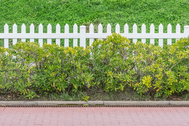 沿着路的白色木栅栏。图片下载