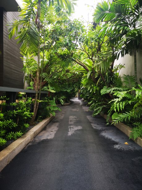 绿色通道图片下载