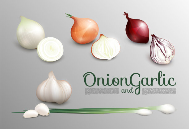 逼真的新鲜蔬菜套装图片下载