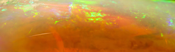 心灵的自由图片下载