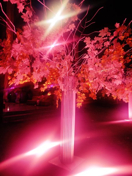 金属装饰树图片下载