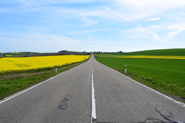 笔直的路穿过黄色的田野图片下载