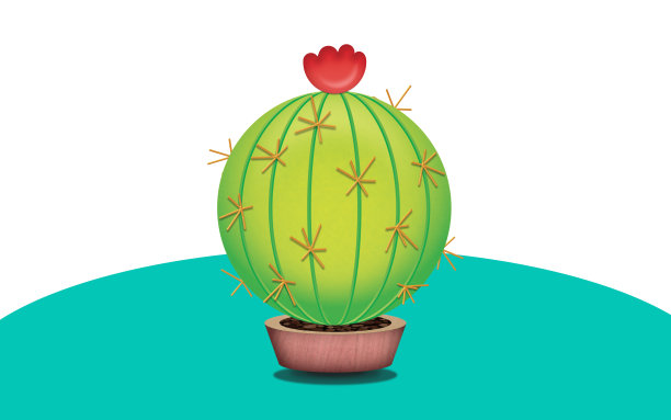 绿色的仙人掌。图片下载