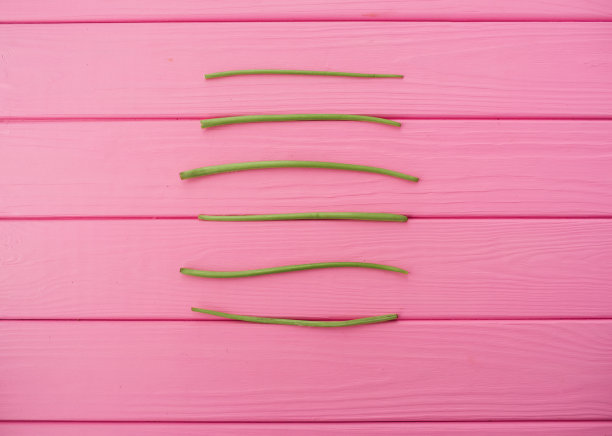 夏季抽象的背景模型模板线茎茎蒲公英平行图片下载