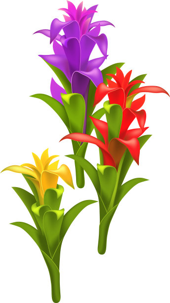 三种逼真的红、紫、黄古兹曼图片下载