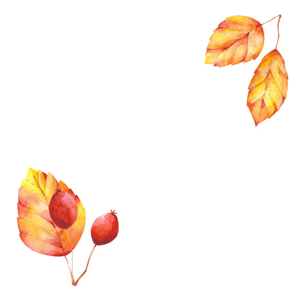 秋天组成8图片下载