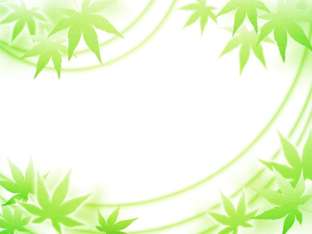 枫木和波纹背景图片下载