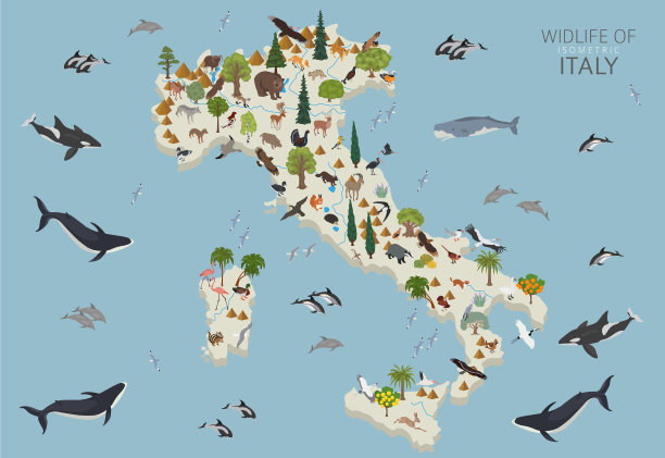 立体设计意大利野生动物图片下载