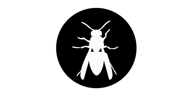 黄蜂图标图片下载