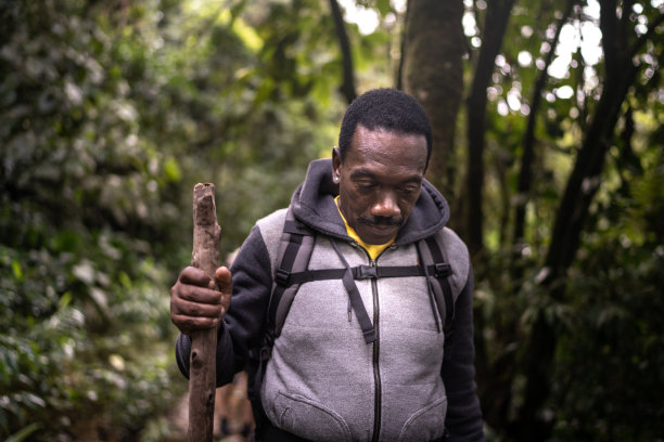 一位老人在森林里徒步旅行图片下载