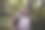 一位老人在森林里徒步旅行图片下载