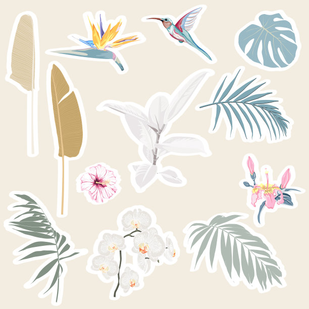 可爱的热带套不同的贴纸图片下载