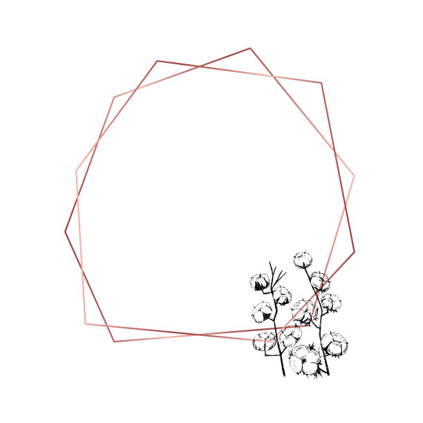 几何玫瑰金框架与花卉素描图片下载