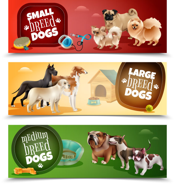 犬种横幅套装图片下载