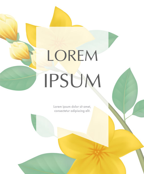 贺卡模板设计与黄花图片下载