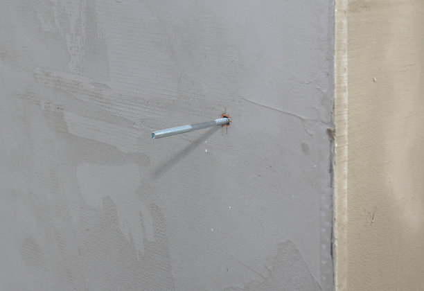 这是一个金属螺丝锚，螺栓锚，金属紧固件的特写，在一所房子翻新时，用外部抹灰覆盖玻璃纤维加强网的混凝土墙。图片下载