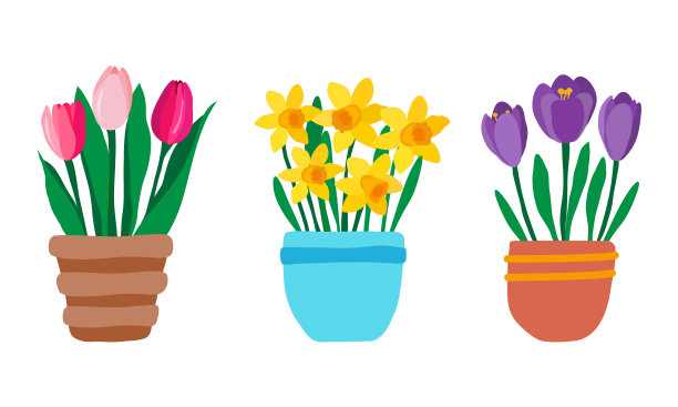 把春天的花园花放在粉红色的郁金香盆里图片下载