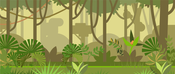 丛林景观与树木和植物图片下载