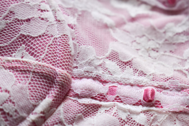 粉红色和白色蕾丝紧身衣关闭图片下载
