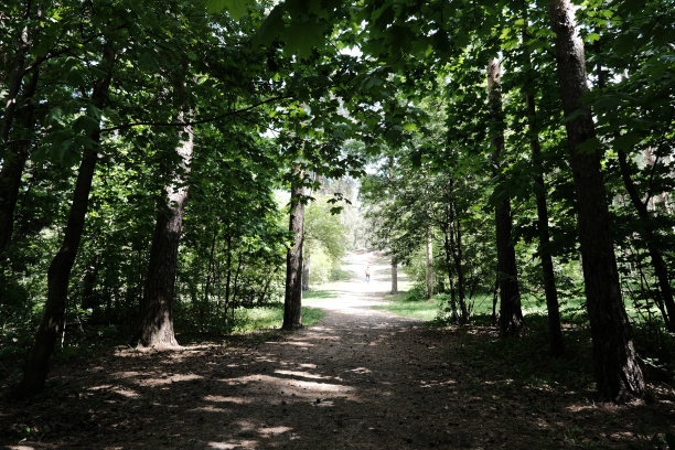 一个女人正走向森林山图片下载