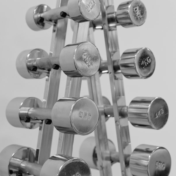 架子上一套铬哑铃的碎片图片下载