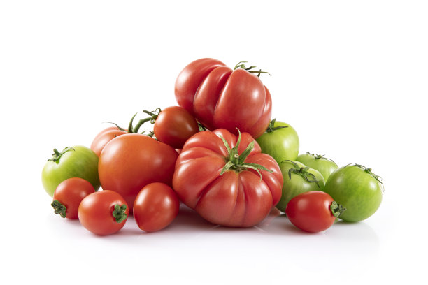 白色背景上的新鲜番茄图片下载