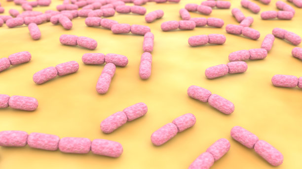 嗜酸乳杆菌细菌图片下载