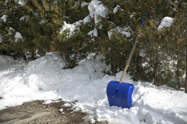 清理完路上和院子里的积雪后，一把蓝色的雪铲倚在篱笆上。图片下载