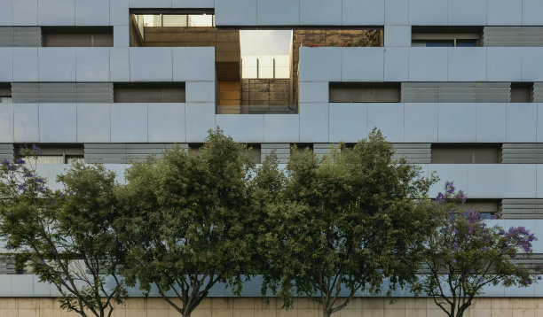 城市建筑的色彩和黑白场景，建筑，肌理城市的自然与力量，反映在摩天大楼和建筑设计。图片下载