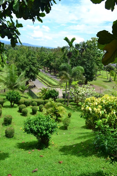 绿色的花园，美丽的姑娘点缀图片下载
