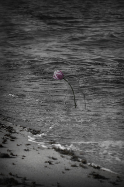 瓶子里的花漂浮在沙滩上的复制空间图片下载