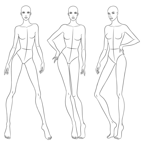 美丽苗条的女人在不同的姿势图片下载