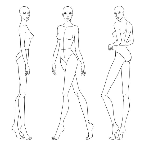 美丽苗条的女人在不同的姿势图片下载