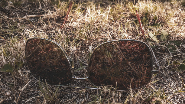 草地照片上的太阳镜图片下载