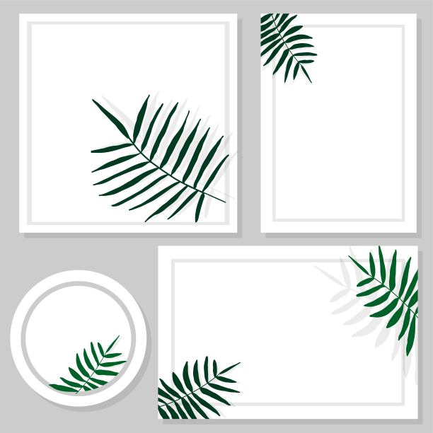 模板，一套创意矢量封面设计的故事模板，社交媒体帖子，故事和照片，可编辑的集合背景与热带树叶图片下载