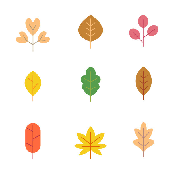 Set七彩秋叶图片下载