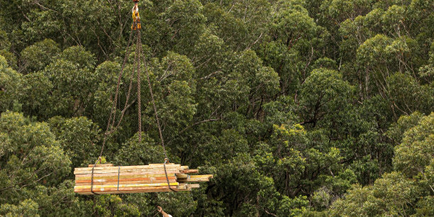 安装地板混凝土模板。澳大利亚比恩圣戈斯福德56-58号新建筑工地的施工进度。2021年4月9日。系列的一部分。图片下载