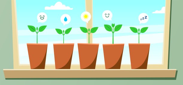 花盆里的秧苗竖在窗台上。长着叶子的幼苗用表情符号相互交流;窗口中,天空,云。现代平面矢量图像。图片下载