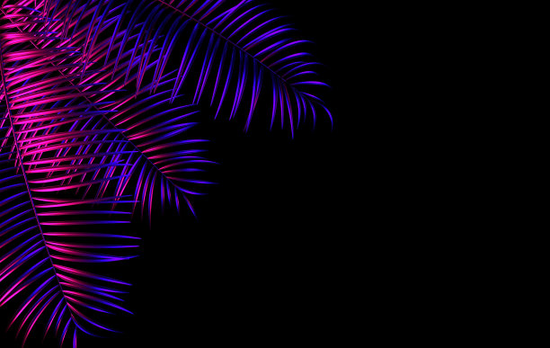 热带棕榈叶背景。夏季热带叶。异国情调的夏威夷丛林，夏季派对设计时髦的海报，传单，横幅，卡片，封面，小册子。霓虹灯。图片下载