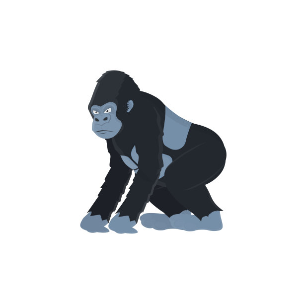 大猩猩。猴子的动物图片下载