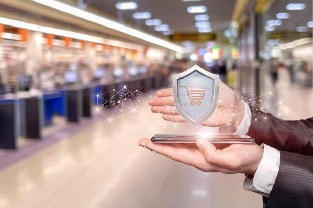 在网上商店保护购买和支付的概念。图片下载